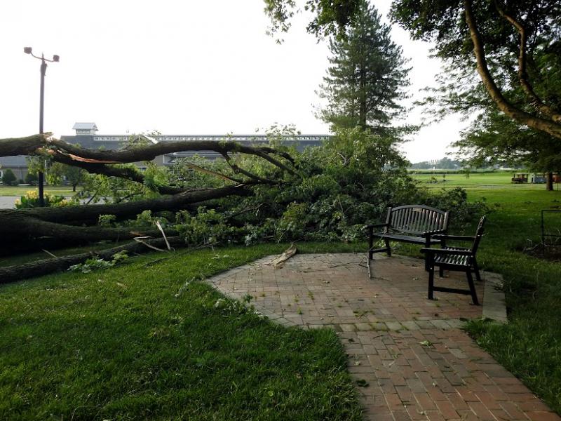 The winds that came with the storm were strong enough to topple trees in Lewes’ Stango Park. GEORGE PERASSO PHOTO